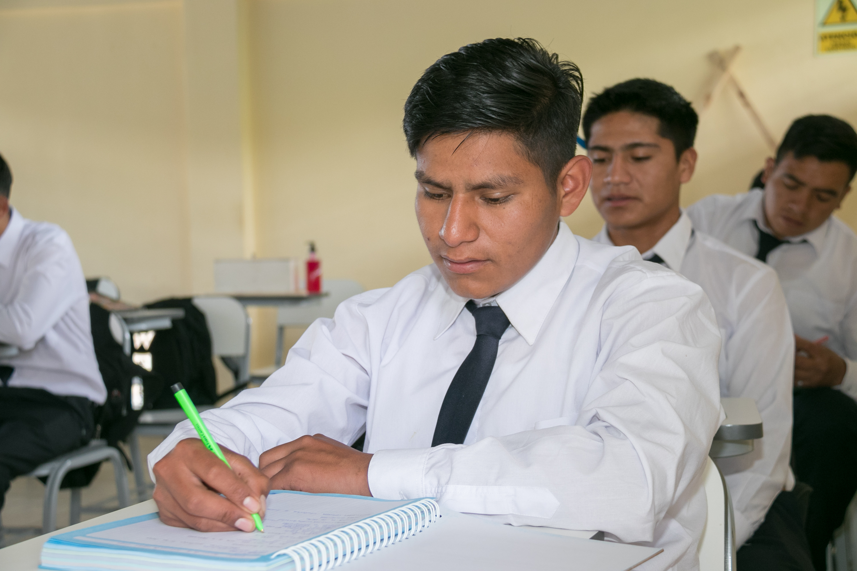 Produccion Agropecuaria